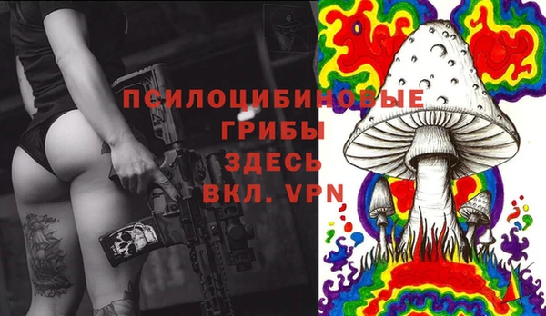 не бодяженный Алзамай