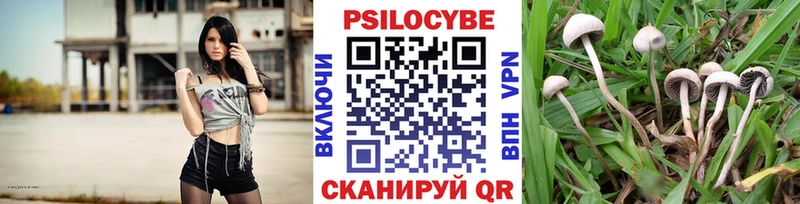 купить наркотики цена  Ленинск  Галлюциногенные грибы GOLDEN TEACHER 